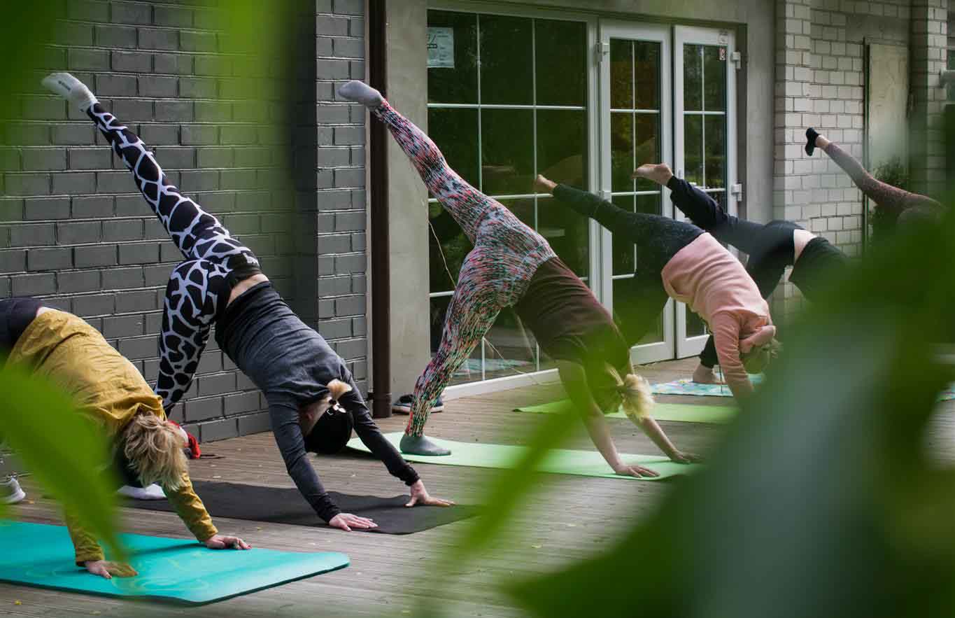 Yoga, Meditation, and Wellness Retreat Venues
